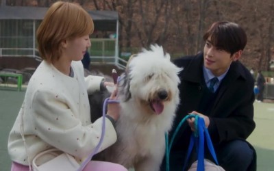 4 Final Moments That Gave Us Closure In Episode 14 Of “A Good Day To Be A Dog”