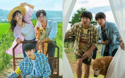 6-k-dramas-movies-for-your-animal-loving-soul