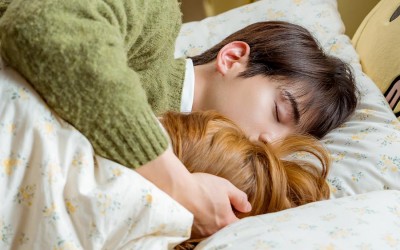 cha-eun-woo-falls-asleep-on-the-same-bed-with-park-gyu-young-in-a-good-day-to-be-a-dog