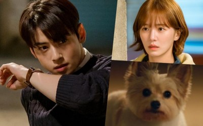 cha-eun-woo-is-scared-for-his-life-upon-meeting-park-gyu-young-who-turns-into-a-dog-in-a-good-day-to-be-a-dog