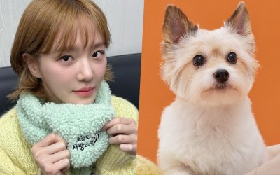park-gyu-young-turns-into-a-cute-dog-when-kissed-in-upcoming-fantasy-drama-a-good-day-to-be-a-dog