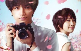 Review Japan Movie "Love Like the Falling Petals (2022)"