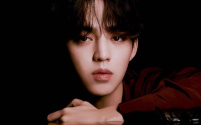 seventeens-scoups-to-undergo-surgery-for-torn-acl-temporarily-halt-activities