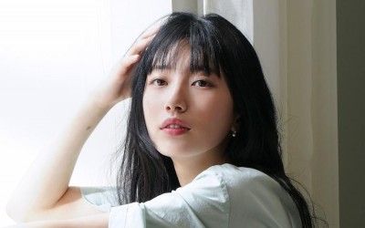 Suzy’s Malicious Commenter From 2015 Found Guilty And Fined By Supreme Court