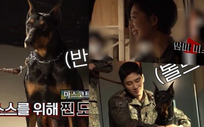 Watch: Ahn Bo Hyun And Jo Bo Ah Can’t Help But Smile At The Dog Filming With Them In “Military Prosecutor Doberman”