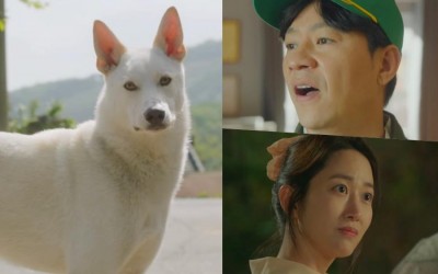 Watch: Jung Sang Hoon And Jeon Hye Bin Navigate Village Chaos Over A Dog In Teaser For Comedy Drama 