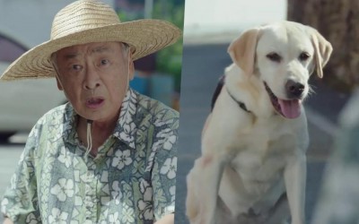 Watch: Lee Soon Jae Can Hear A Former Police Dog Talk And Begins A Crime-Solving Adventure In 