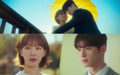 watch-park-gyu-young-wants-to-win-over-cha-eun-woos-affections-in-a-good-day-to-be-a-dog-teaser
