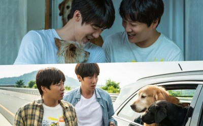 yoo-yeon-seok-and-cha-tae-hyun-unintentionally-become-caregivers-to-8-dogs-in-upcoming-film-my-puppy