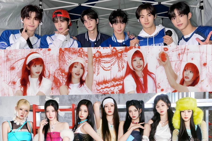 November Rookie Idol Group Brand Reputation Rankings Announced 2024