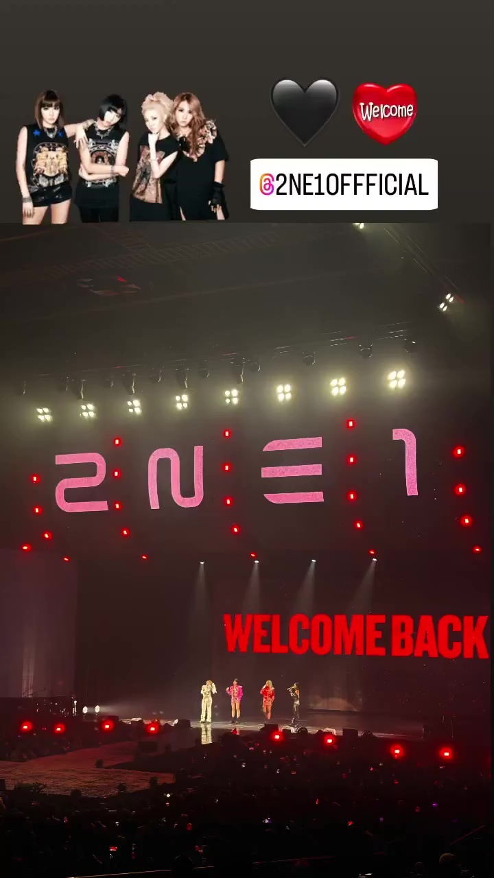 Stars Show Love And Support For 2NE1's 