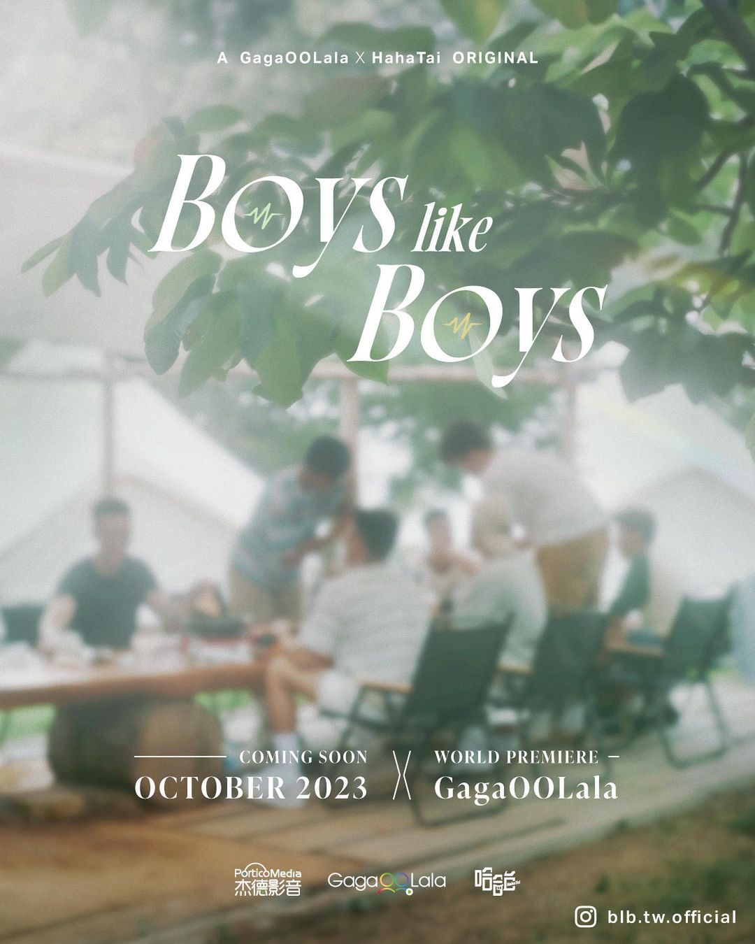 Boys Like Boys