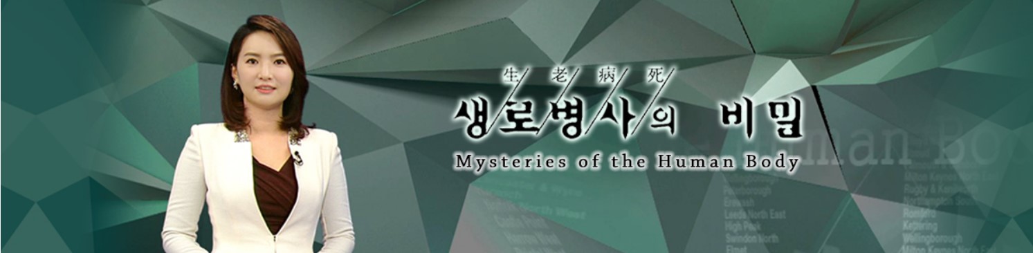 KBS Mysteries of the human body