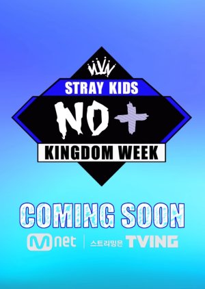 Stray Kids Kingdom week